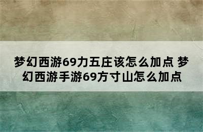 梦幻西游69力五庄该怎么加点 梦幻西游手游69方寸山怎么加点